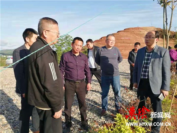 省果业中心副主任周智孝来汉阴调研指导猕猴桃产业