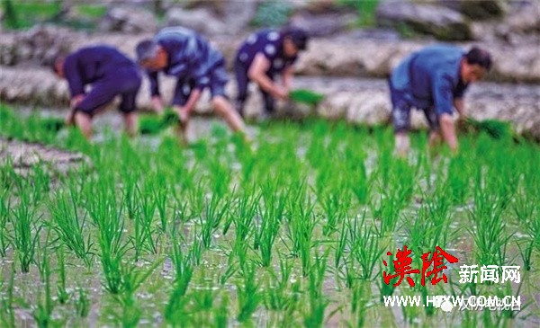 2020年汉阴粮食产量超过10万吨