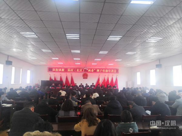 汉阳镇组织召开新一届村（社区）“两委”班子任前培训会