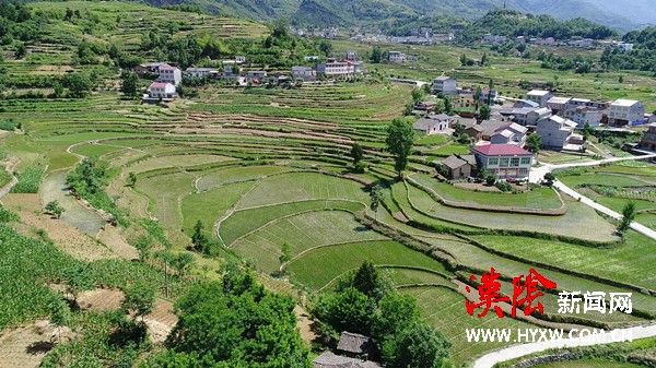 汉阴：犁田打耙插秧忙 凤堰梯田换夏装