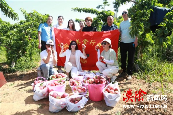 【我为群众办实事】汉阴县美食行业协会为红桃果农代言