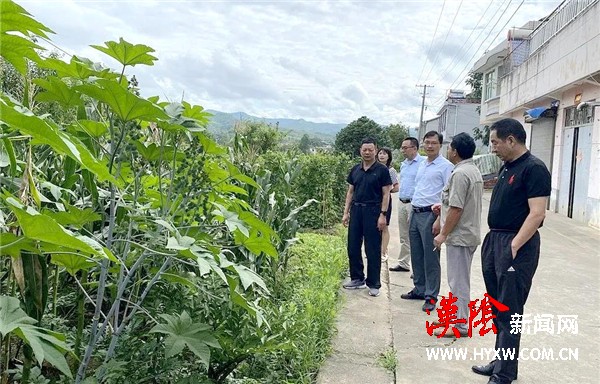 市农业农村局来汉阴检查验收市级现代农业园区项目
