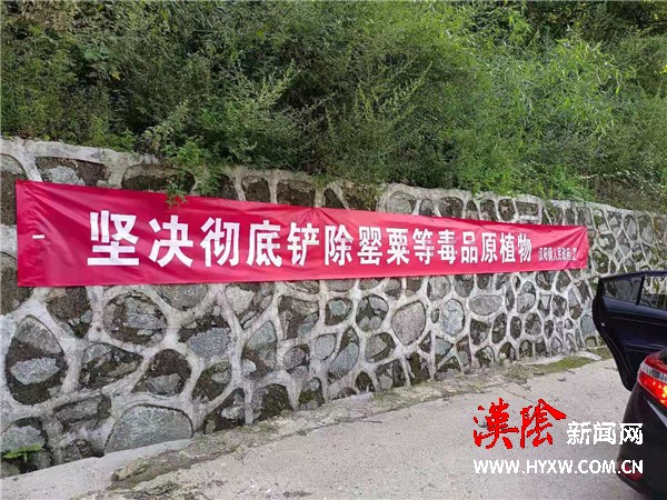 汉阳镇开展林区禁毒宣传  弘扬禁毒正能量