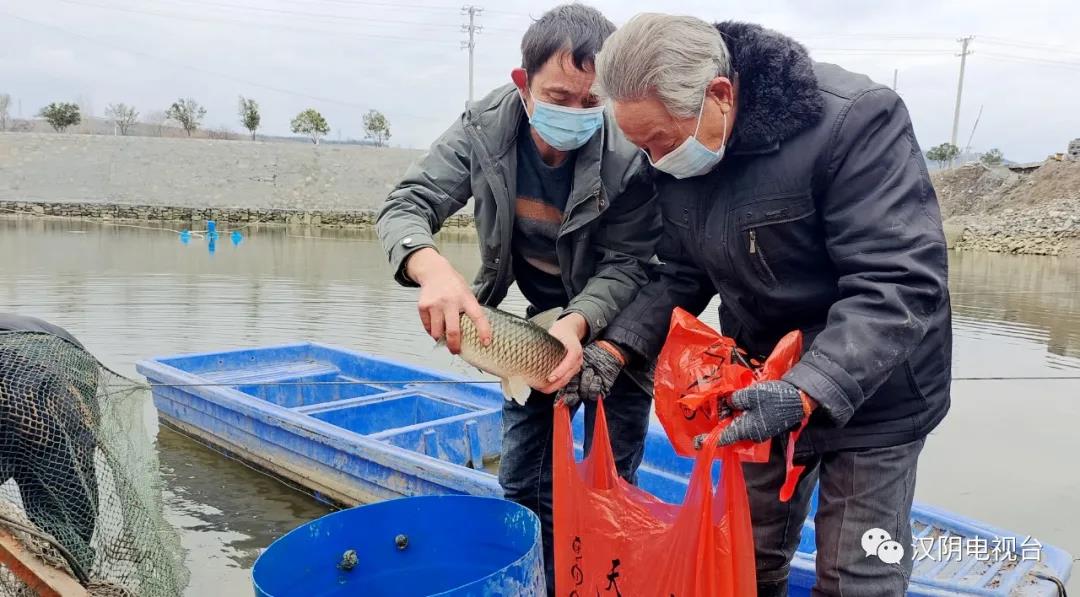 【春意盎然年味道】汉阴县涧池镇：捕年鱼 庆丰收