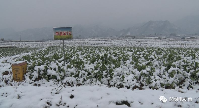 汉阴：大雪缓解墒情 促进农作物生长