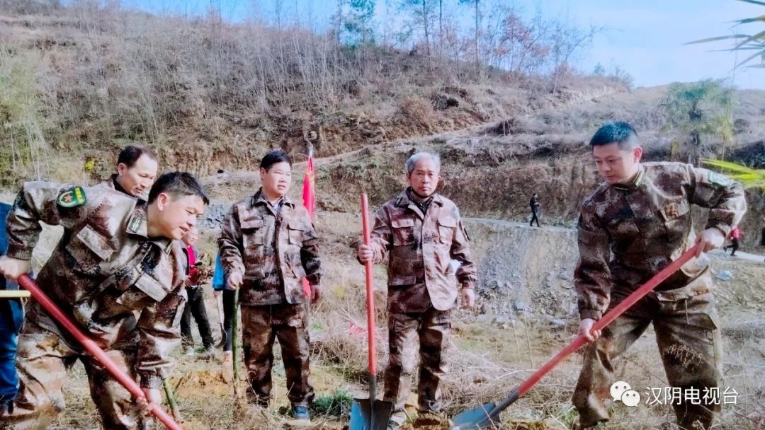 汉阴县涧池镇：春意盎然满青山 义务植树增绿色