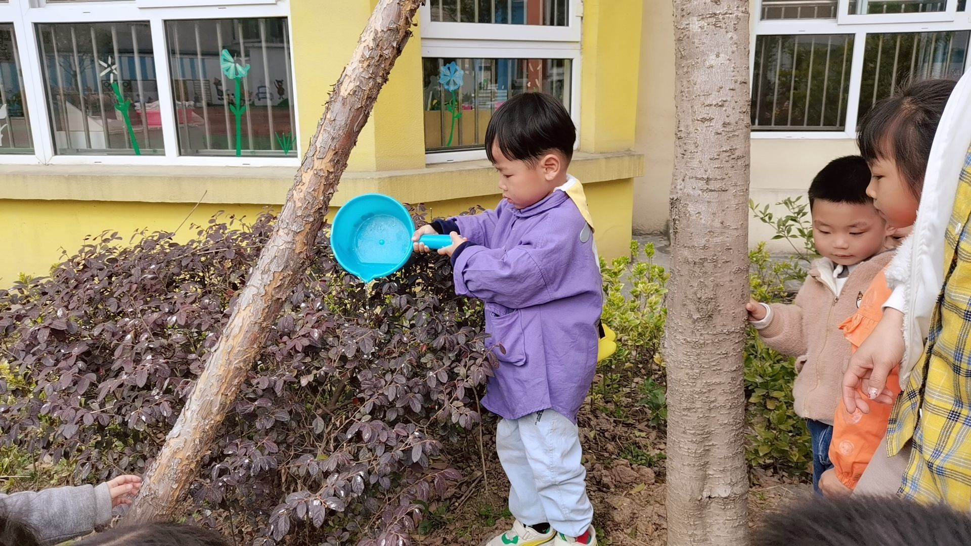 蒲溪镇中心幼儿园开展植树节主题教育活动