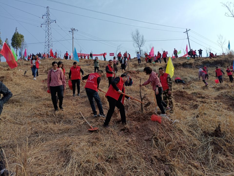 汉阴县城关镇：植树造林突出产业特色富美乡村 