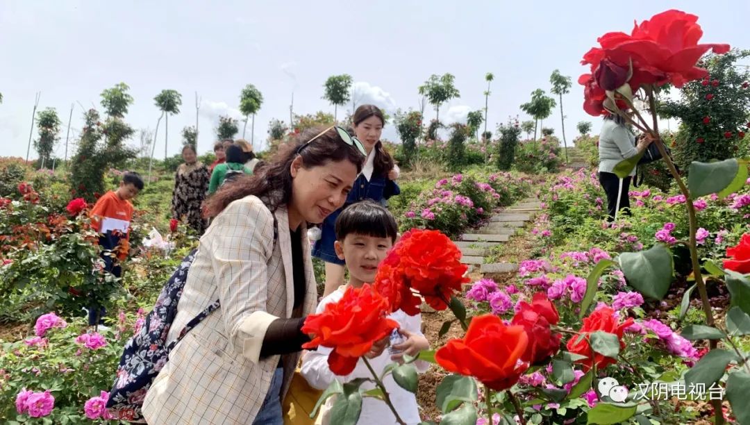 汉阴：“五一”小长假 旅游景点持续升温