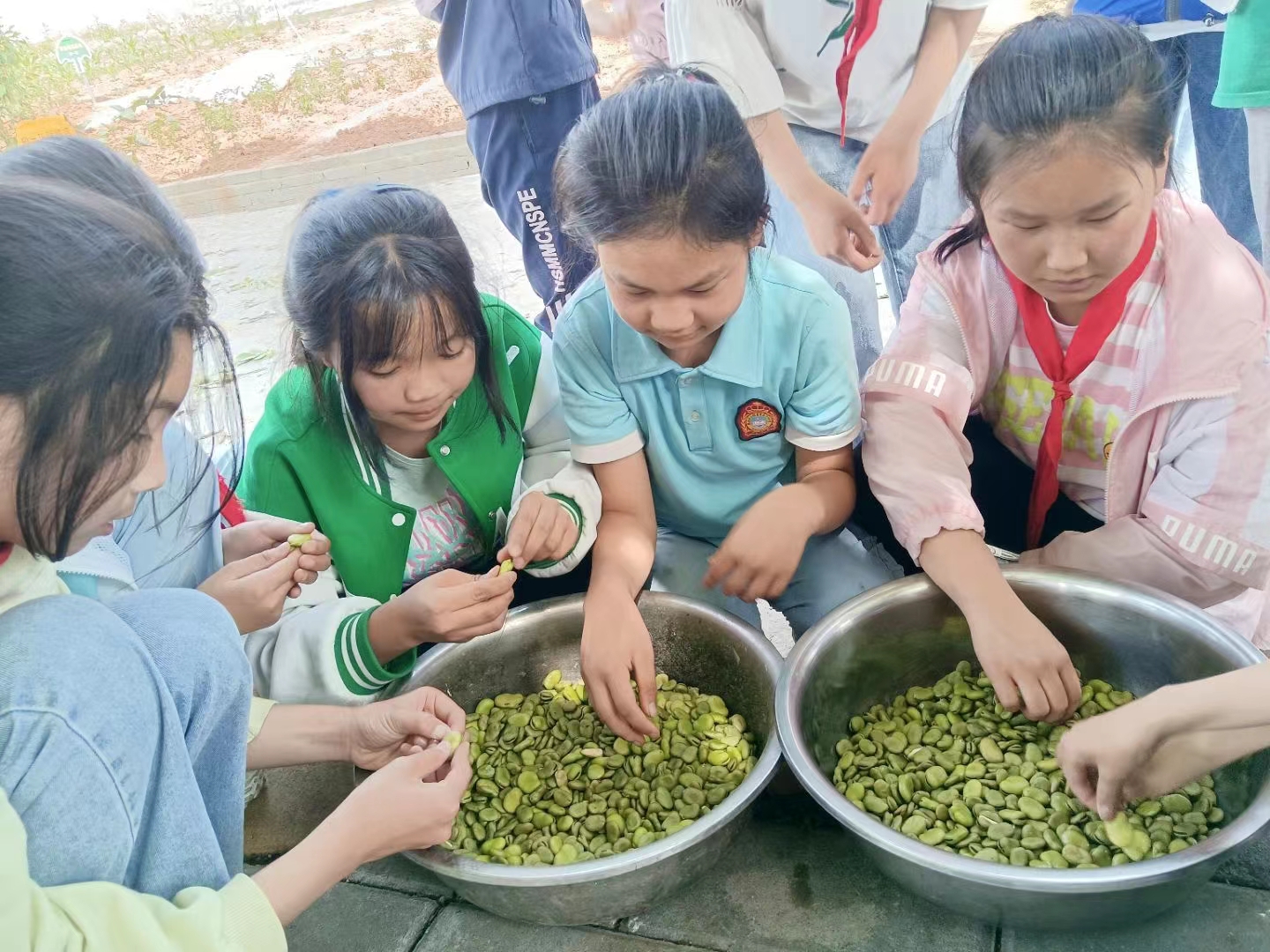 汉阴县平梁镇中心小学：田间地头夏耕忙，齐心孕育新希望！