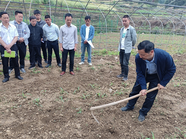 汉阴：汉阳镇把玉米大豆带状复合种植培训会开到“田间地头”