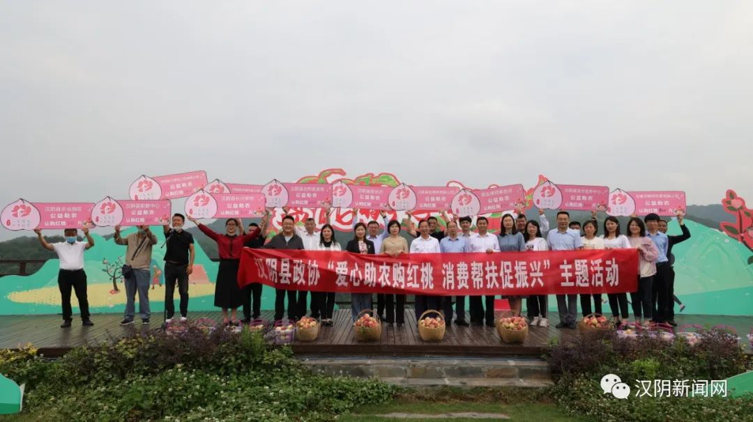 汉阴县政协组织开展“爱心助农购红桃 消费帮扶促振兴”活动
