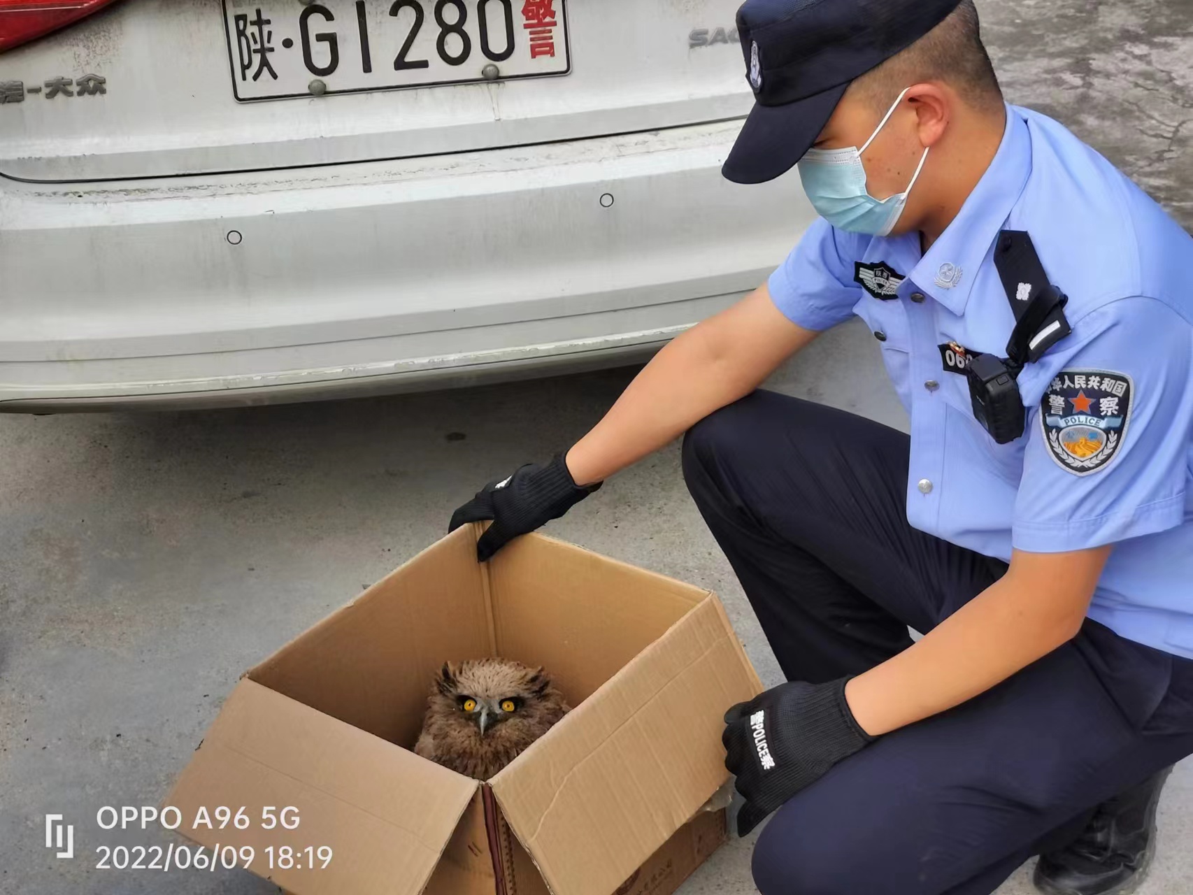 热心群众捡拾“萌兽”    民警救助及时放飞