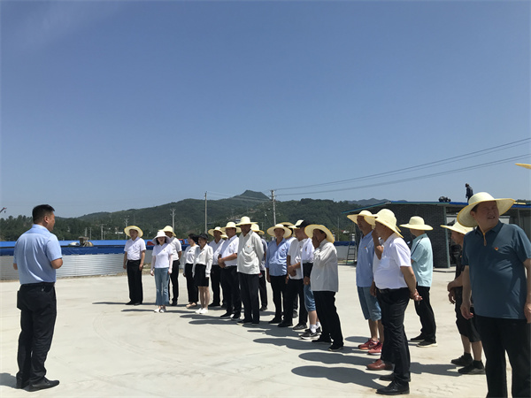 汉阴县考核办：支部联建谋发展，观摩学习促振兴