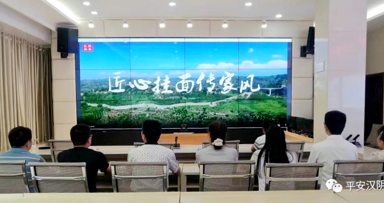 汉阴县委政法委开展“德润三秦”好家风系列微视频展播和学习活动