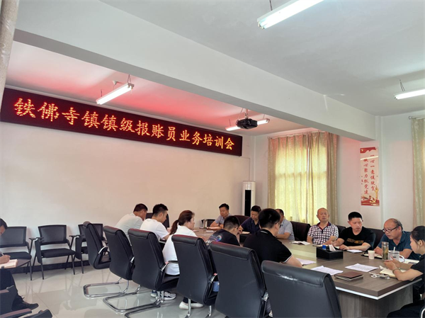 汉阴县铁佛寺镇开展财务人员业务培训