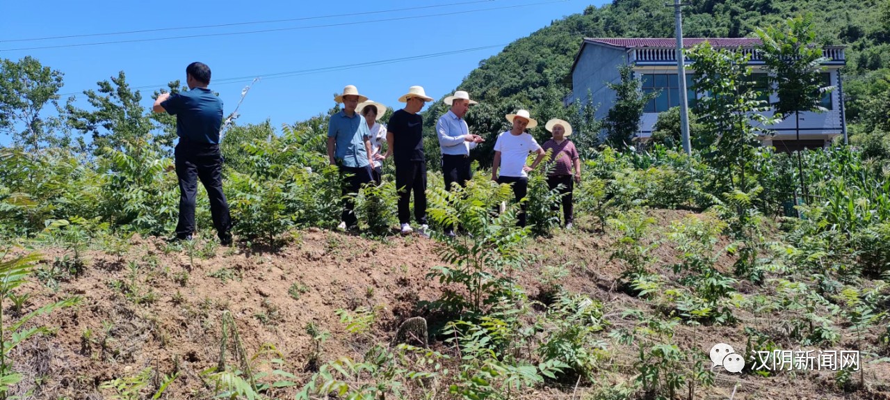 【践行嘱托谱新篇 喜迎党的二十大】汉阴县铁佛寺镇：用好衔接资金 助力乡村振兴