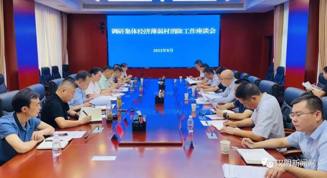 汉阴：县委书记刘飞霞主持召开全县消除集体经济薄弱村座谈会