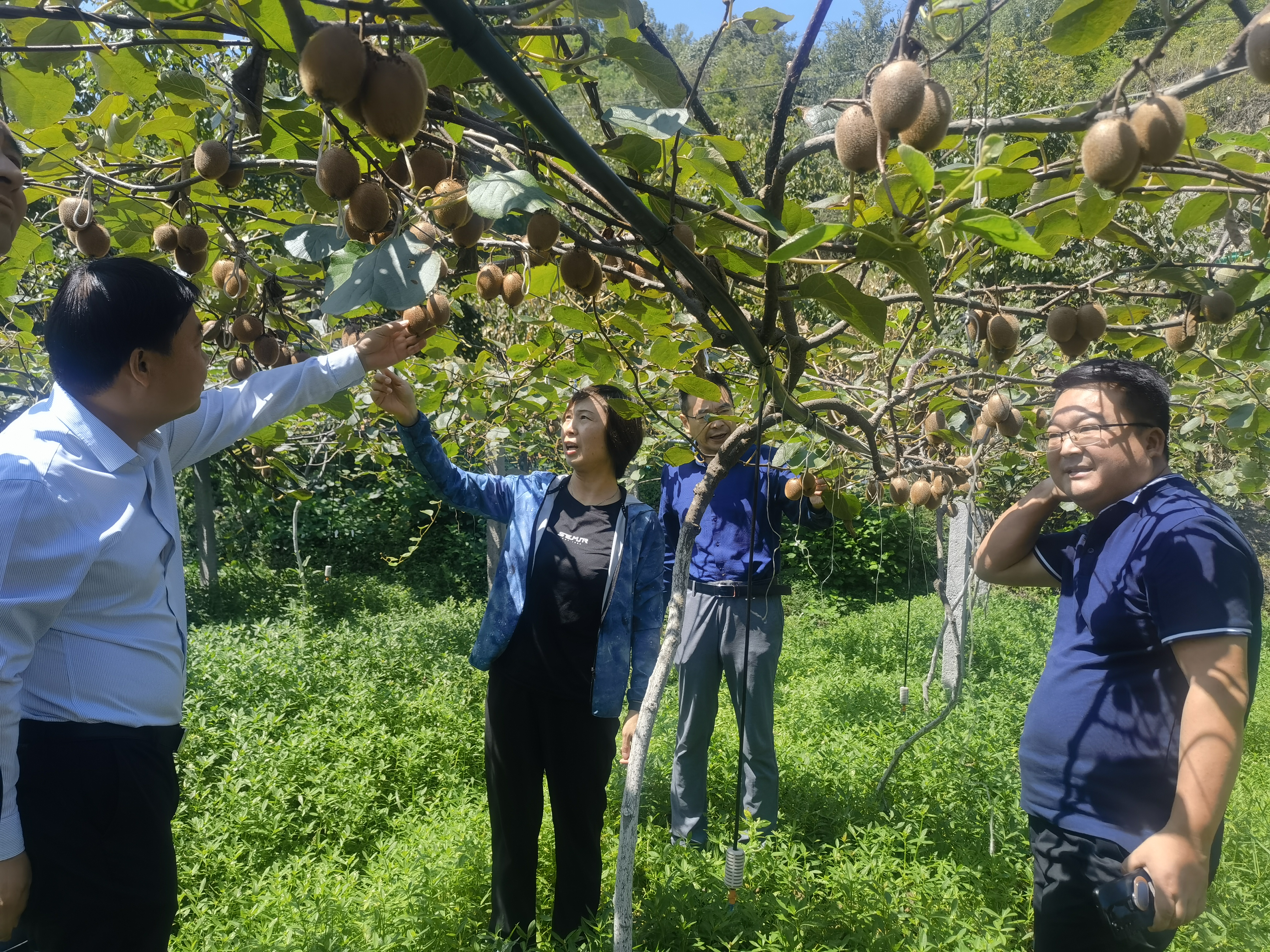 发挥委员工作室作用 提升委员履职质效——汉阴县政协“北区委员工作室”开展第一次活动