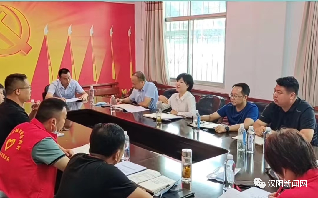 【共建文明县城 共享锦绣汉阴】汉阴县巩固提升省级文明县城创建成果工作动态（四）