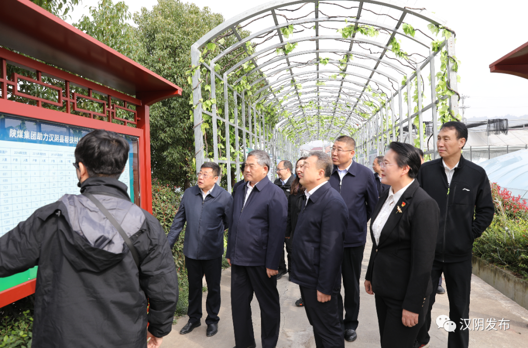 陕煤集团党委书记、董事长杨照乾一行来汉阴县调研乡村振兴工作