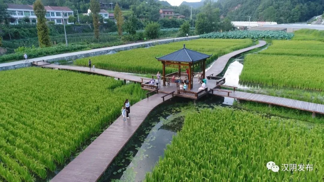 庭院经济 | 汉阴县双河口镇大力发展庭院经济 助力群众稳步增收