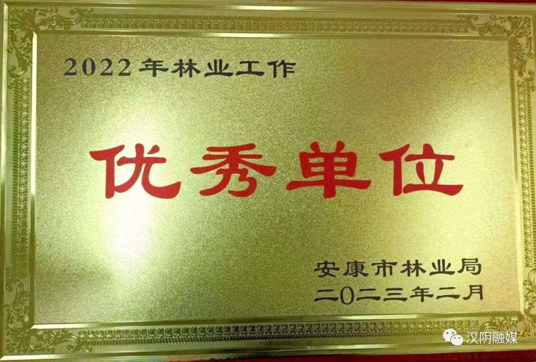 汉阴县林业局获评全市林业工作“优秀单位”