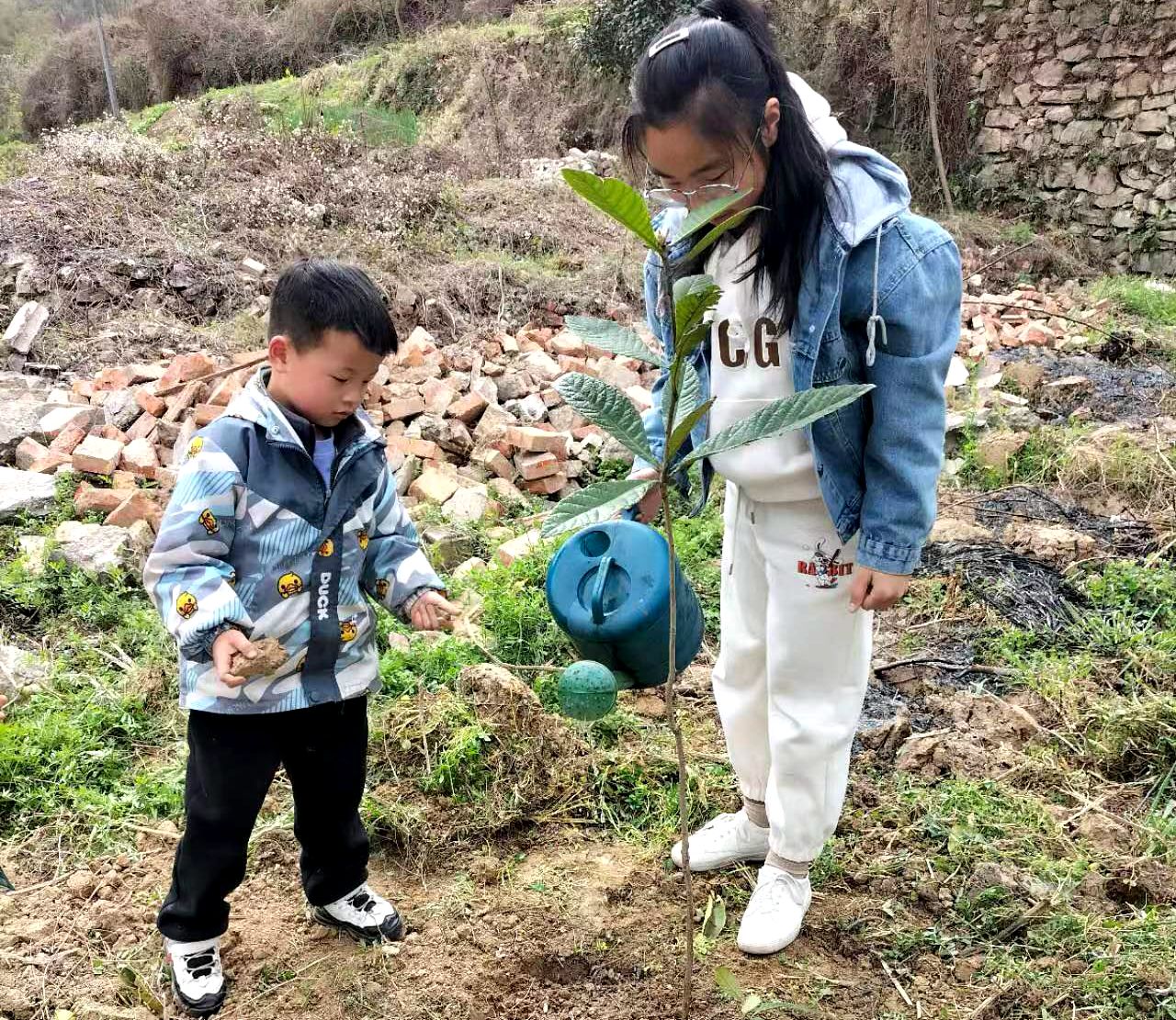 城关镇太平小学：阳春三月植树忙  我与幼苗共成长