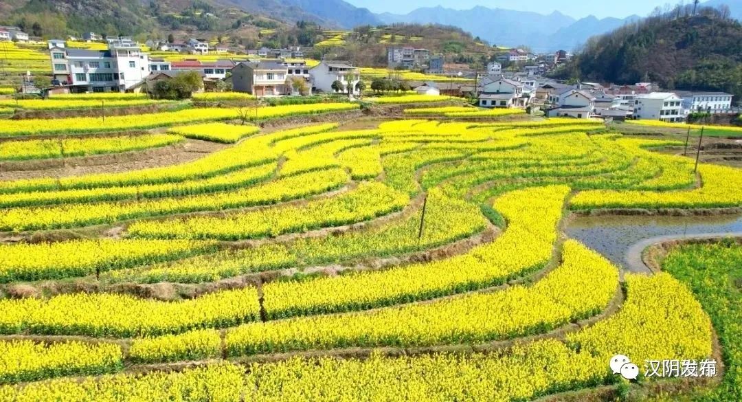 汉阴：“税动力”助“庭院经济”发挥乡村振兴“大能量”