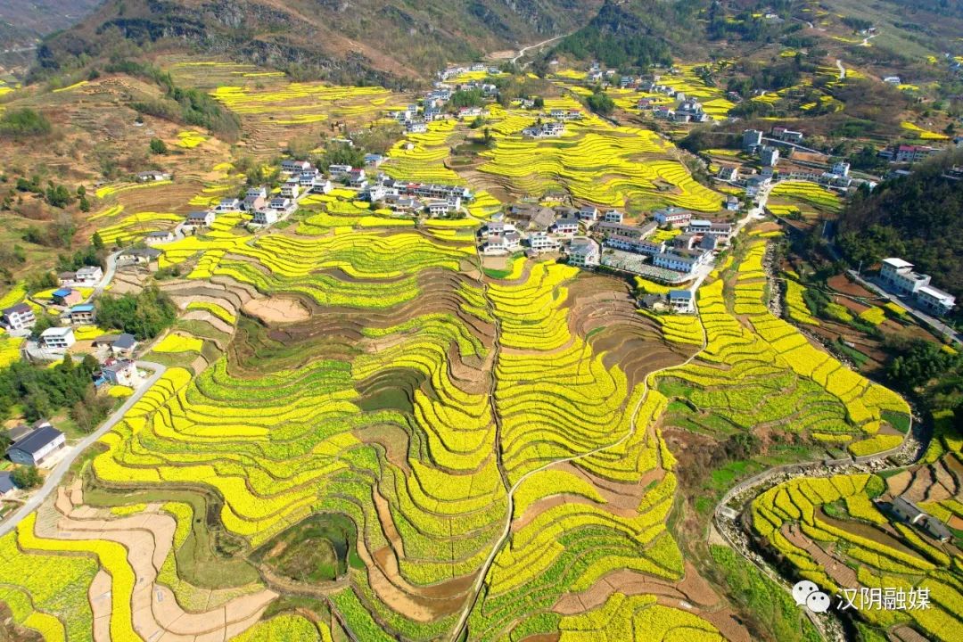 汉阴凤堰古梯田万亩油菜花开成海 三月共赴一场春日邀约