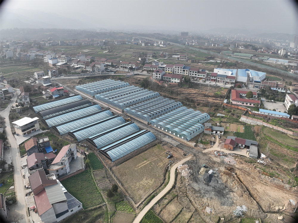 发挥国企作用，助力乡村振兴