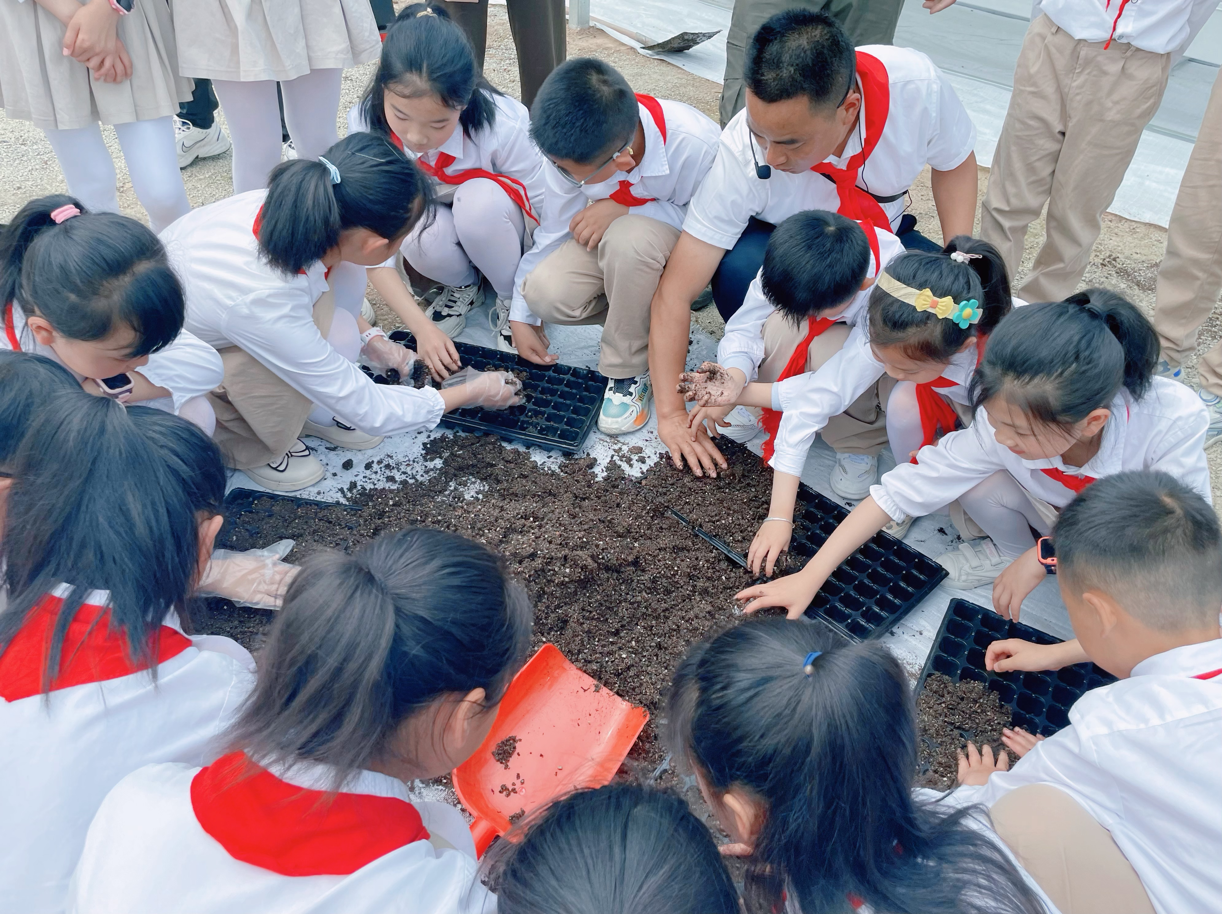 汉阴：太空种子“安家”啦 科技赋能来种植