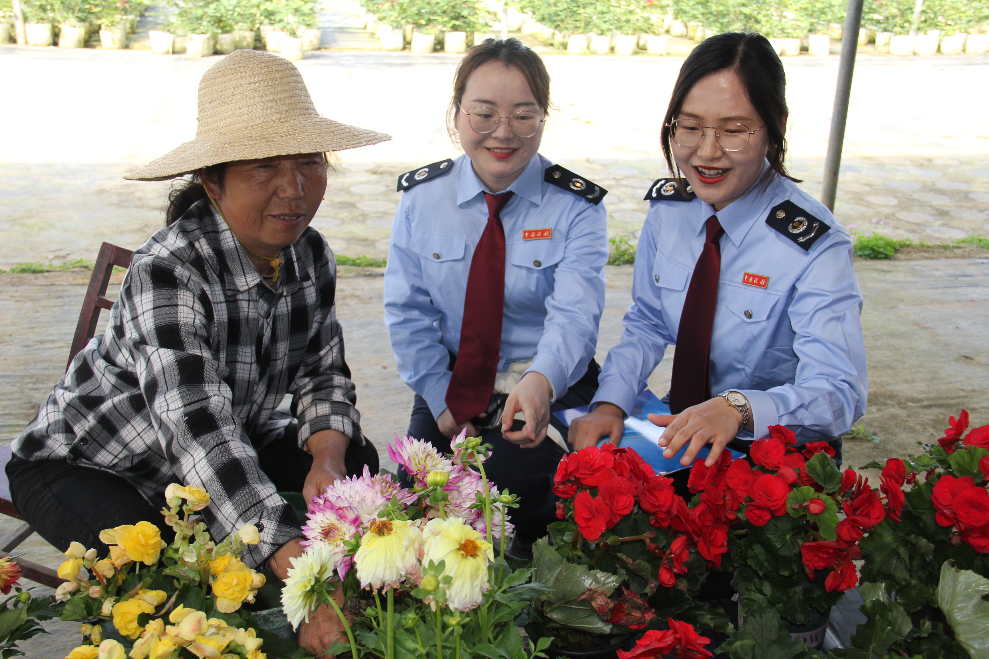 玫瑰花开“税”惠增香 芬芳馥郁产业兴旺
