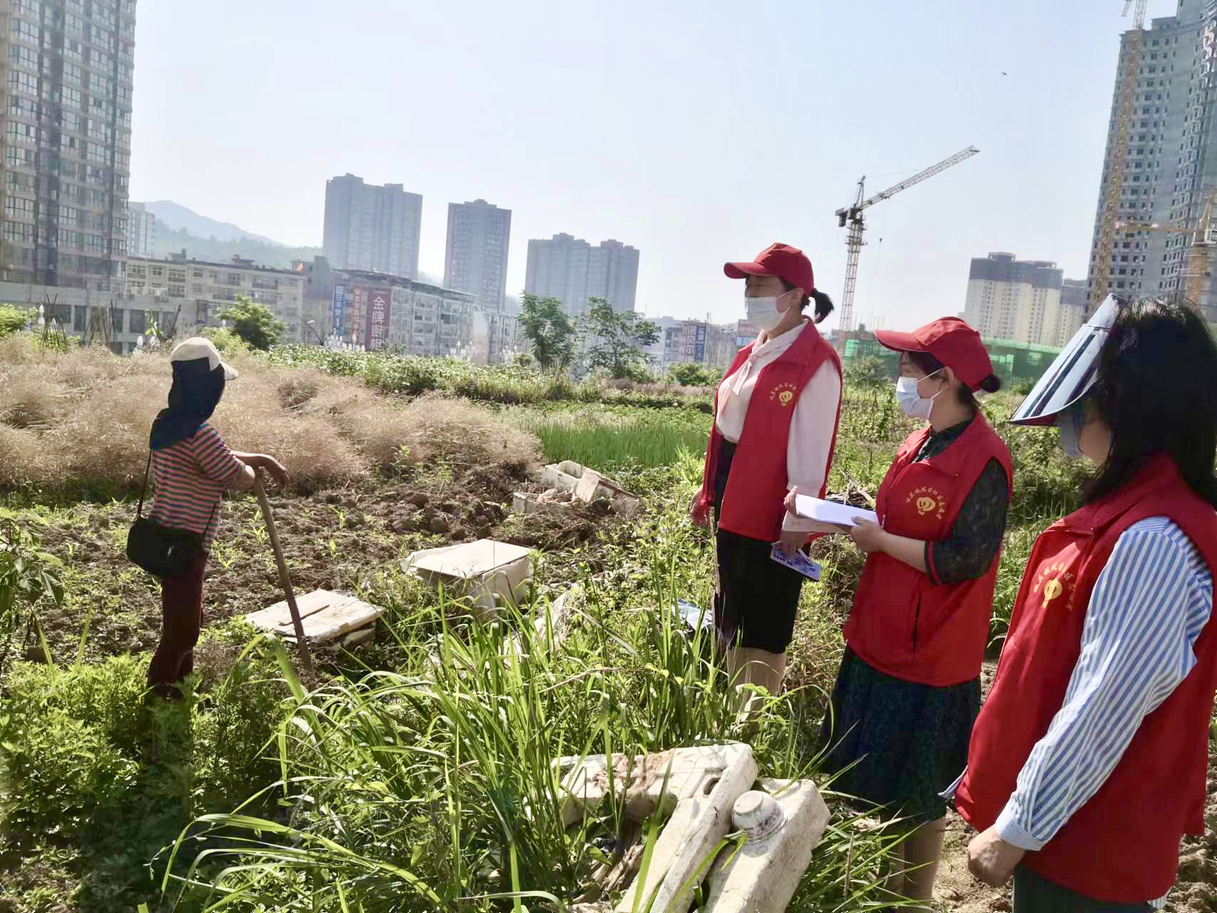 汉阴县城关镇凤台社区开展“禁止焚烧秸秆、留住碧水蓝天” 文明实践宣传活动