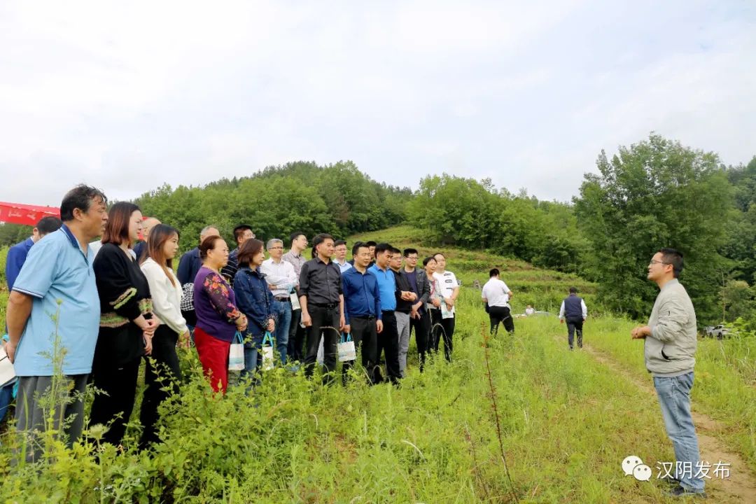 北京同仁堂西安大药房有限公司、陕西省中医药专家协会专家领导来汉阴县进行有机中药材溯源