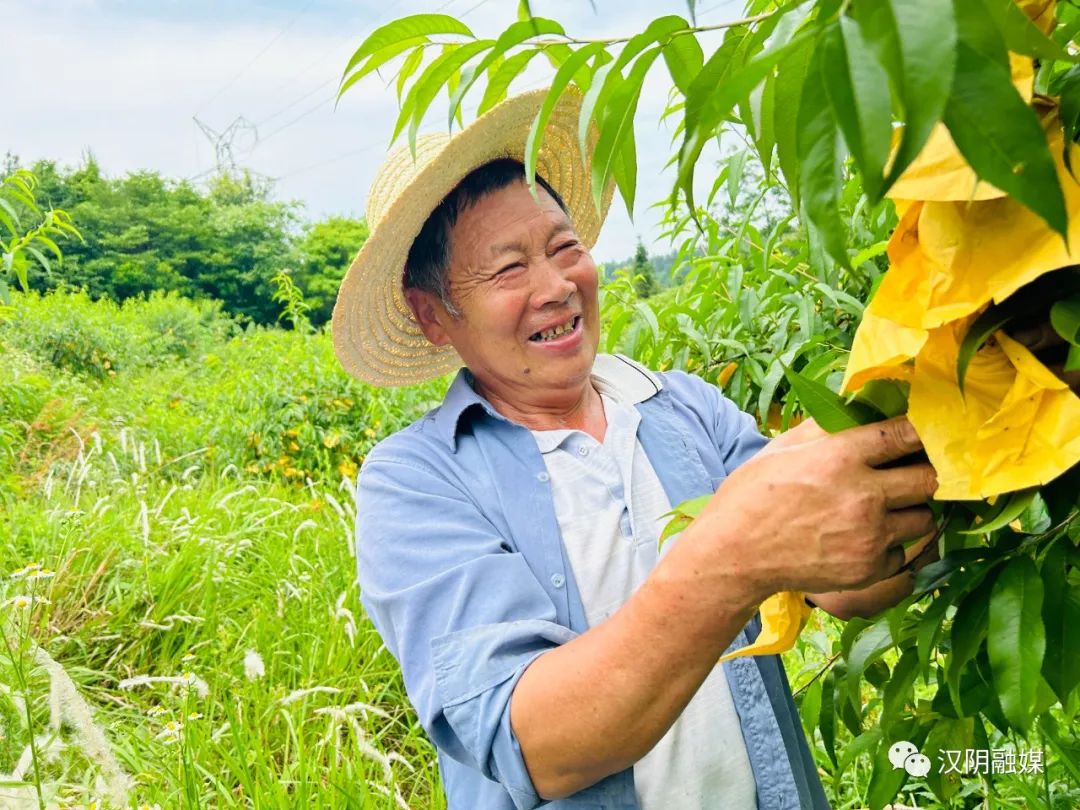 汉阴：小产业带动乡村振兴大步伐