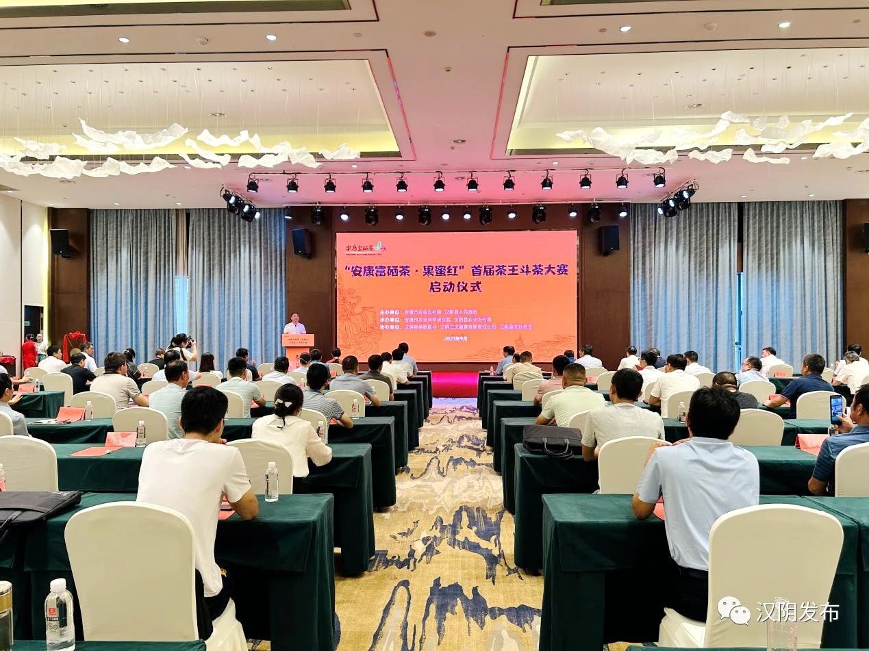 “茶王”出炉 汉阴这场斗茶赛精彩纷呈