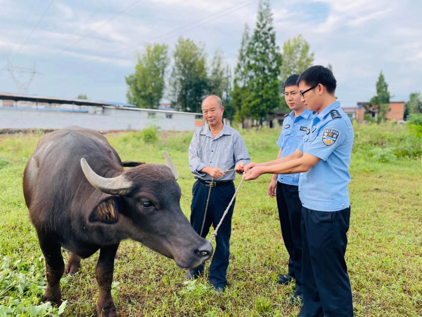 我为群众办实事 | 警民一家亲 小事暖民心