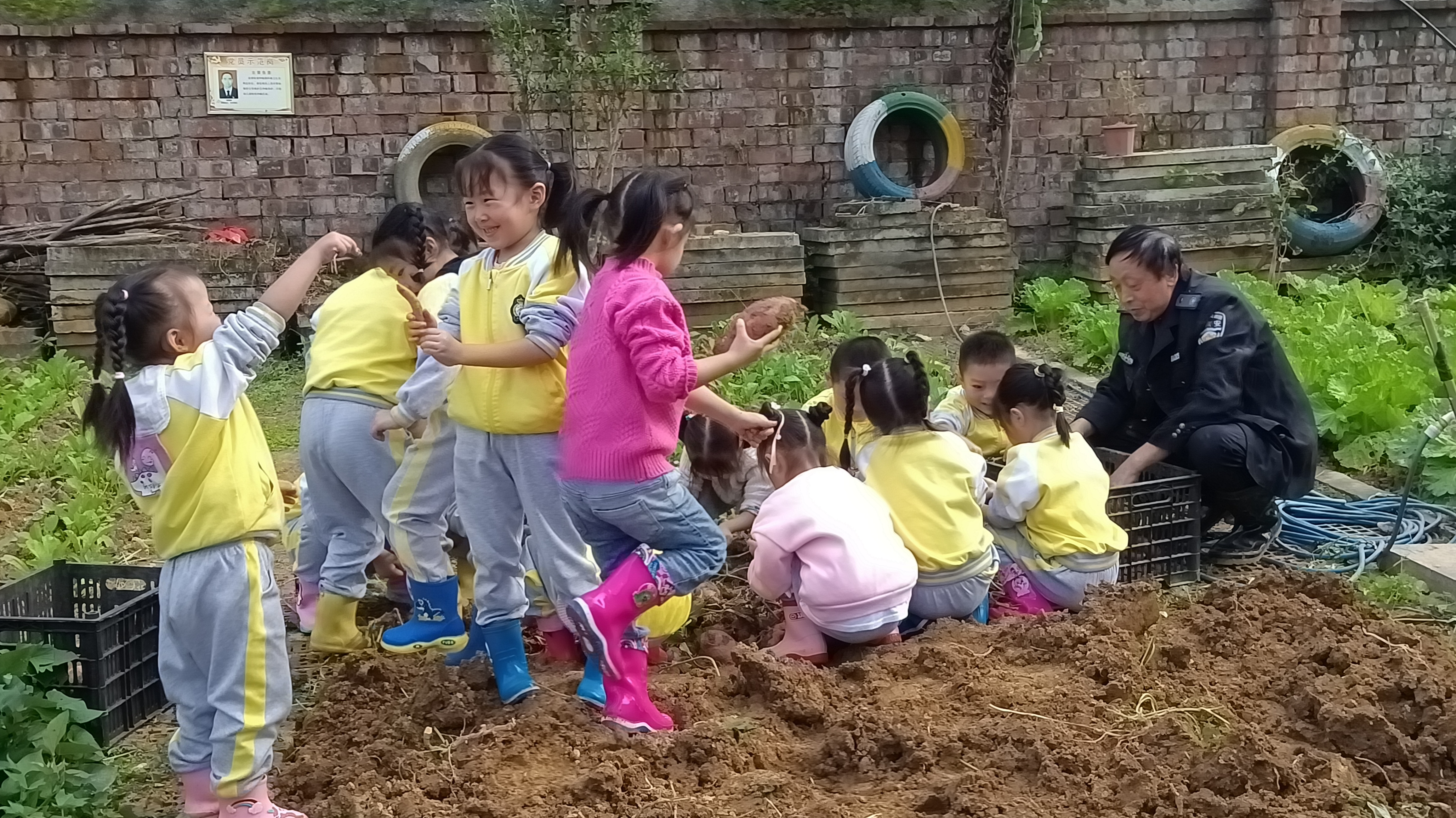 汉阴县凤台幼儿园：劳动实践 育善育美