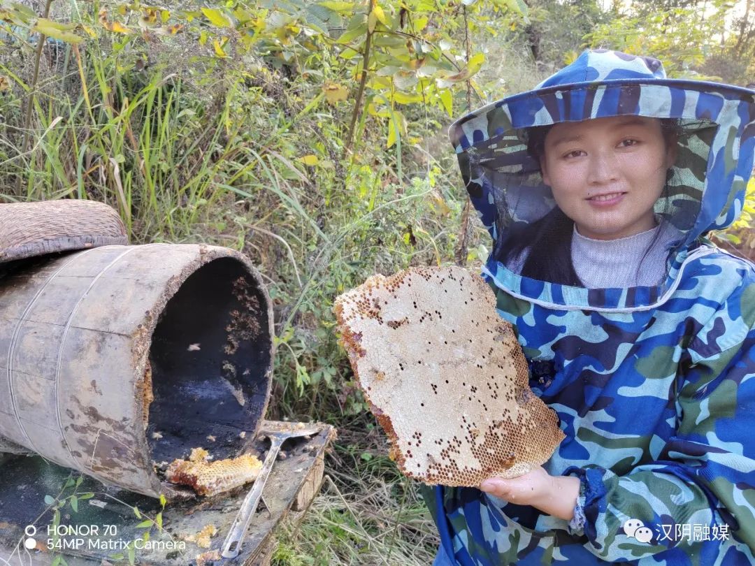 汉阴余杨霞：与“蜂”共舞蹚富路