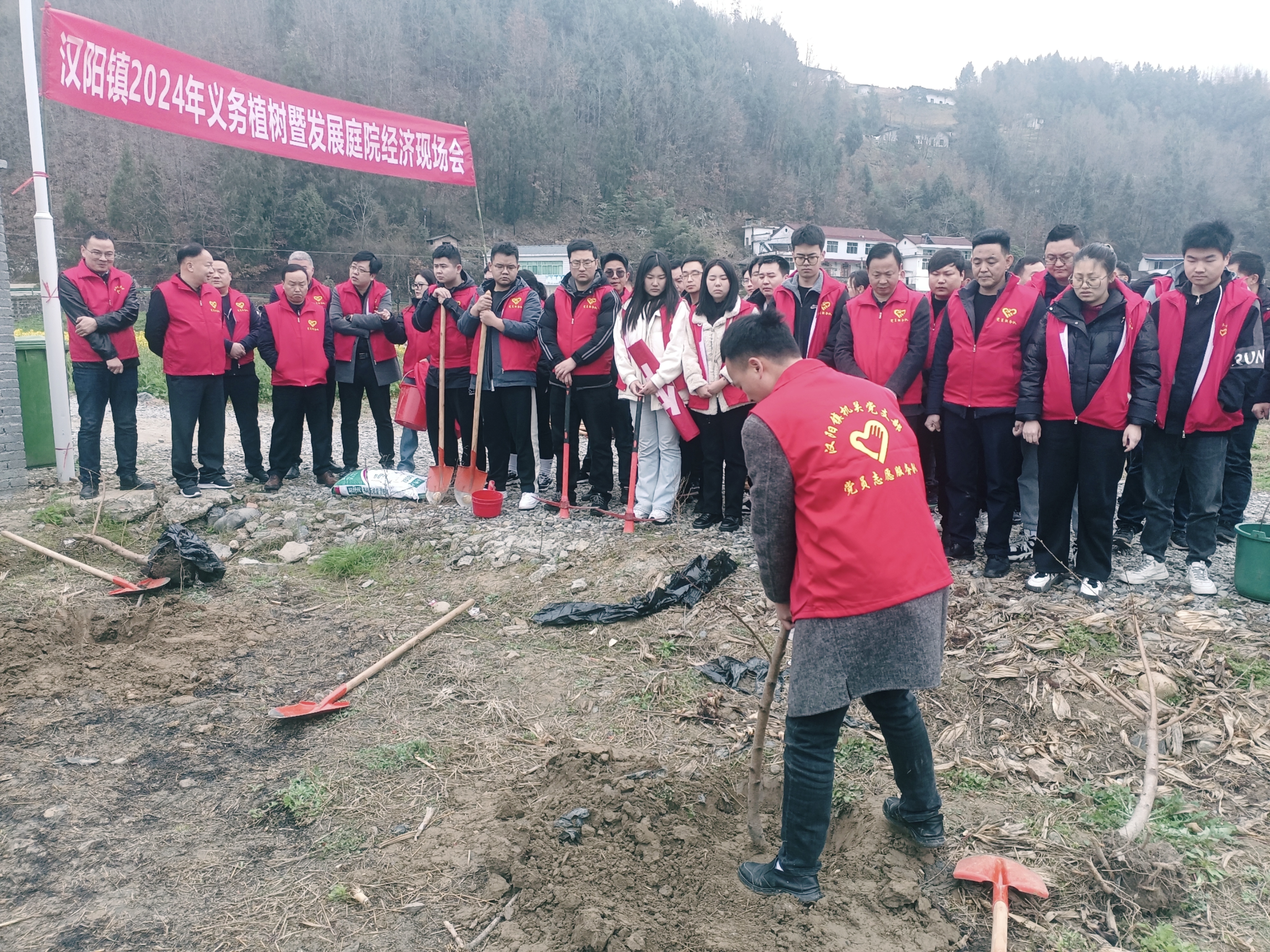 汉阴县汉阳镇：开展植树造林  美化人居环境