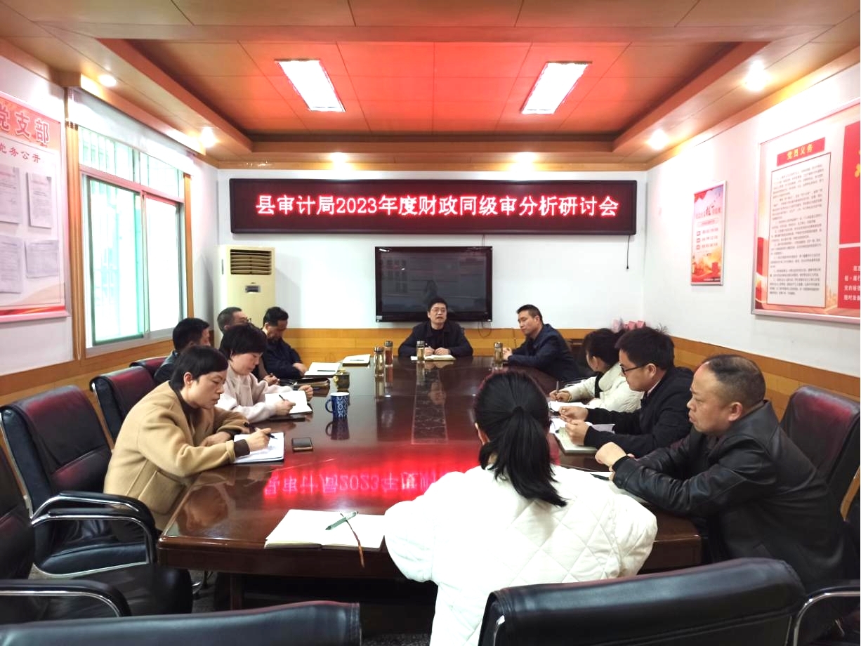 汉阴县审计局召开2023年度财政同级审分析研讨会