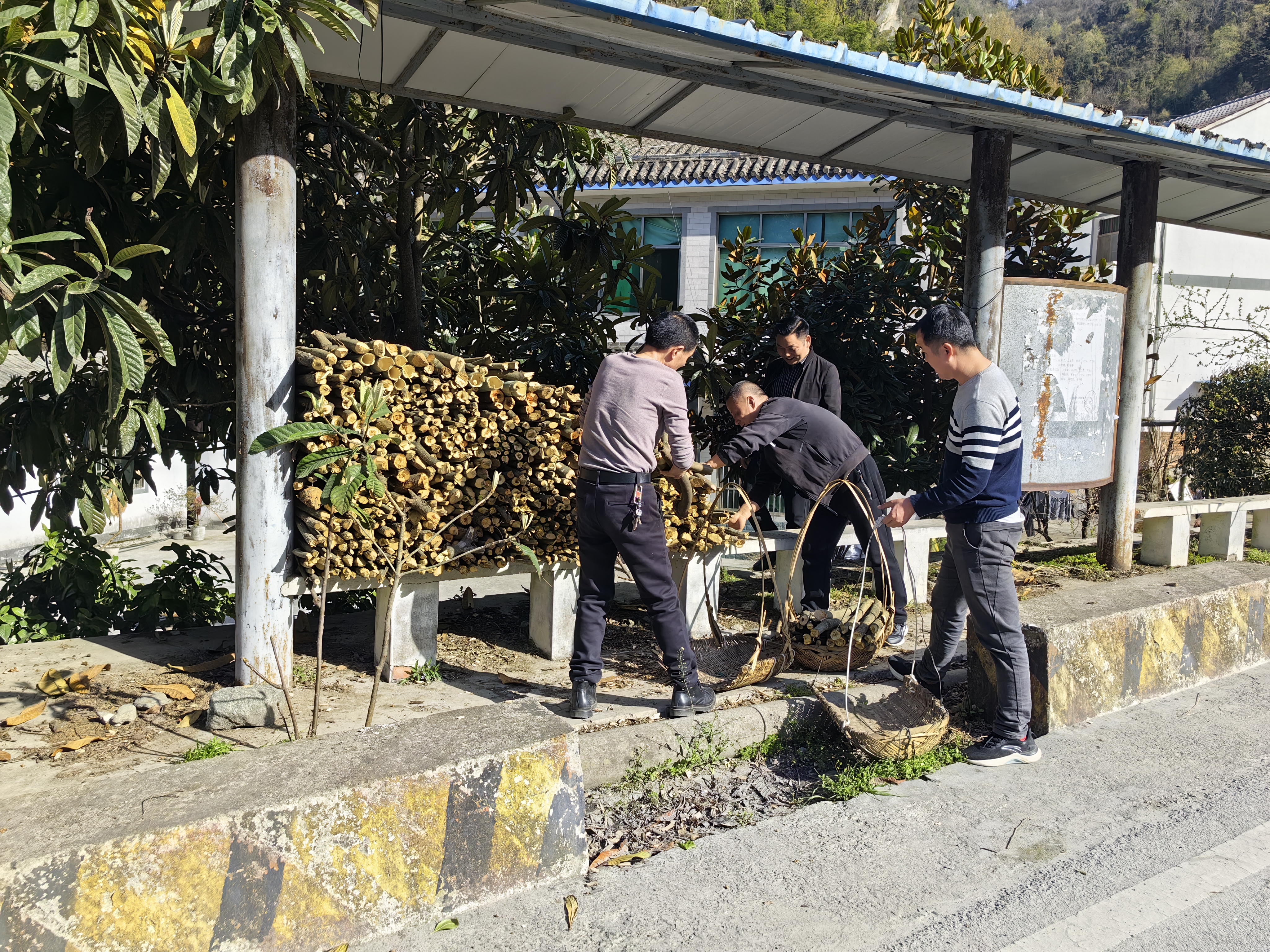 干群齐心 为城乡“美颜”-----汉阴县城关镇扎实开展人居环境整治