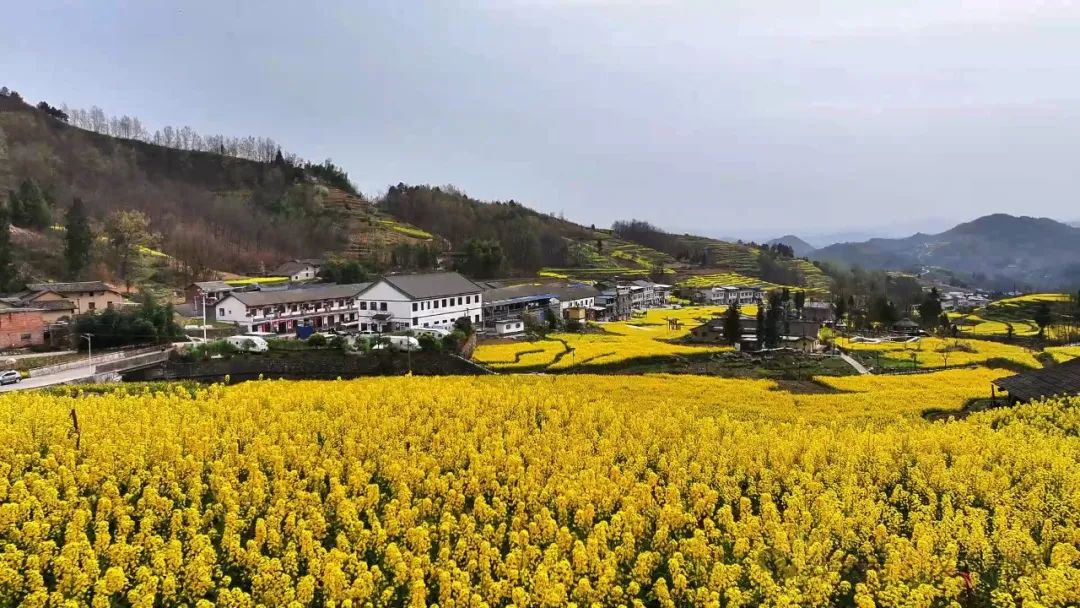 【好客汉阴】打造精品旅游路线 让村民在家门口挣钱