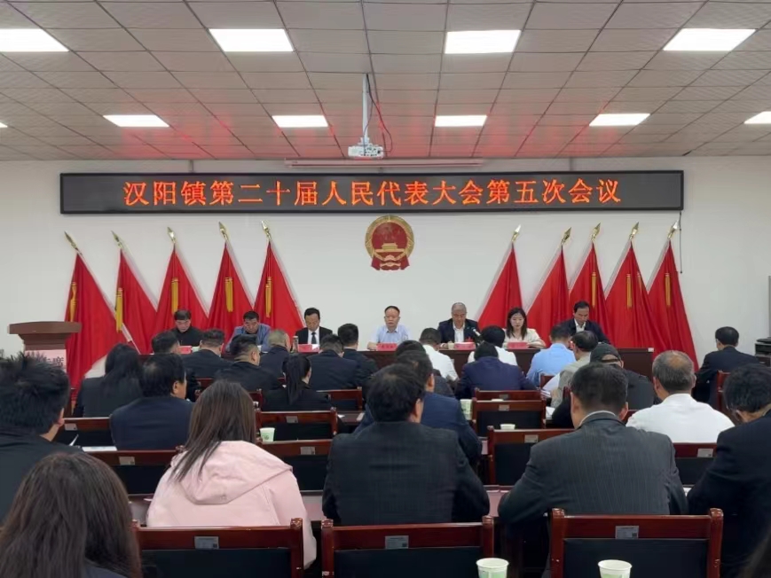汉阳镇第二十届人民代表大会第五次会议召开