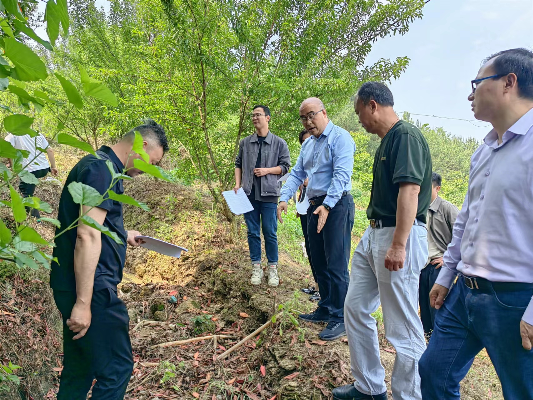 汉阴县城关镇聚力推动图斑整改严守耕地红线