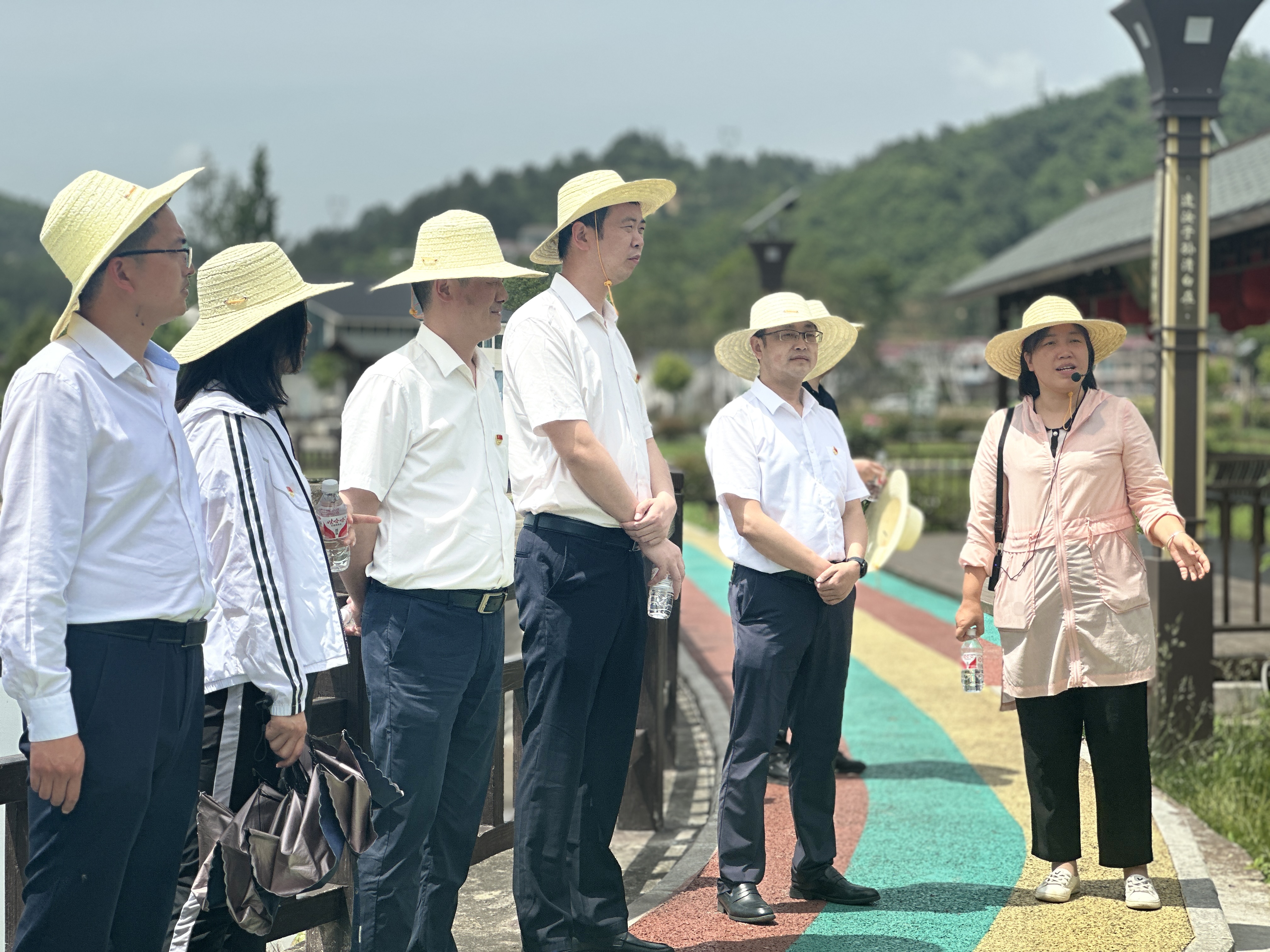 县政府办党支部开展“严守纪律底线，砥砺担当作为”主题党日活动