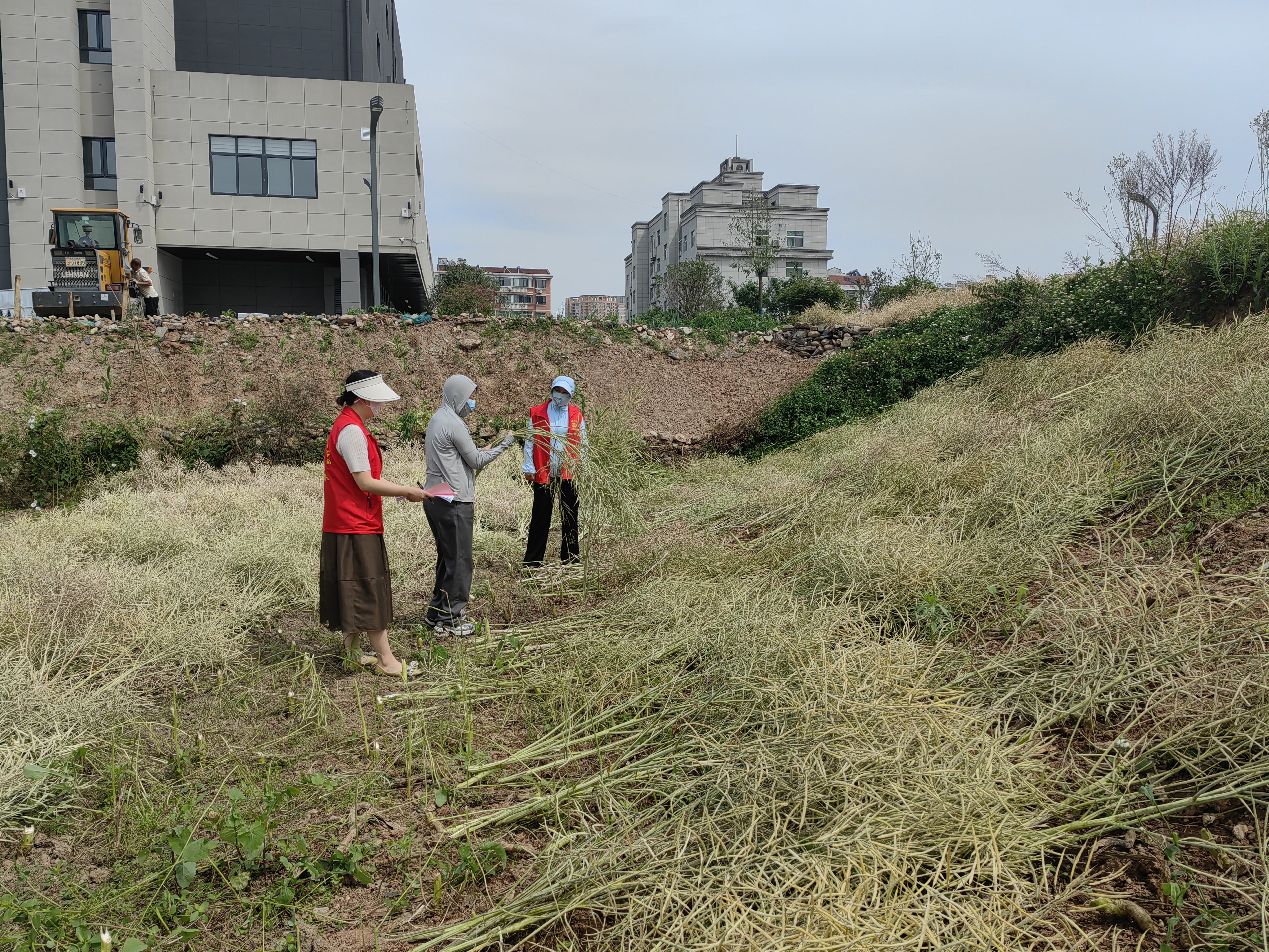 城关镇新城社区：空地宣讲 秸秆禁烧