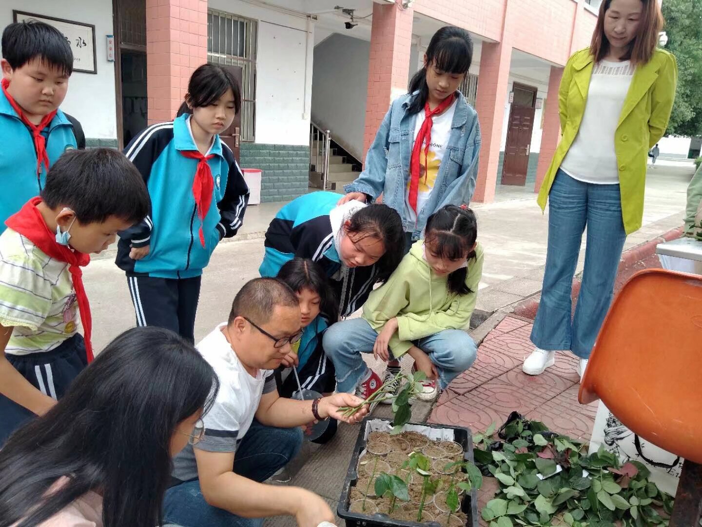 汉阴县双乳镇中心小学举行第十一届校园科技艺术节