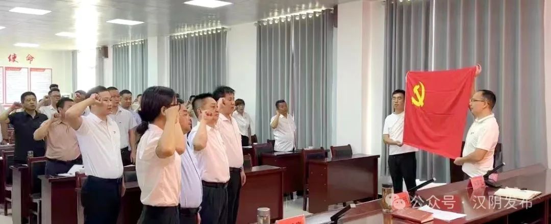 汉阴县观音河镇“三抓三强三促进” 党建引领见实效